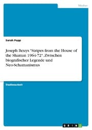 Cover von Joseph Beuys 'Stripes from the House of the Shaman 1964-72'. Zwischen biografischer Legende und Neo-Schamanismus