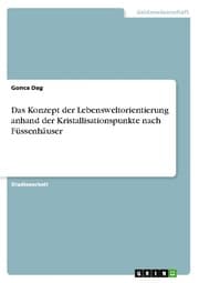 Cover von Das Konzept der Lebensweltorientierung anhand der Kristallisationspunkte nach Füssenhäuser