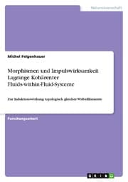 Cover von Morphismen und Impulswirksamkeit Lagrange Kohärenter Fluids-within-Fluid-Systeme