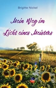 Cover von Mein Weg im Licht eines Meisters