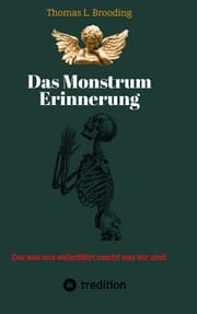 Cover von Das Monster Erinnerung. Manchen Schmerz möchte man vergessen. Aber nach über 60 Lebensjahren lässt sich auch von Engeln der Erinnerung berichten.