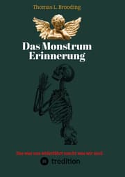 Cover von Das Monster Erinnerung. Manchen Schmerz möchte man vergessen. Aber nach über 60 Lebensjahren lässt sich auch von Engeln der Erinnerung berichten.