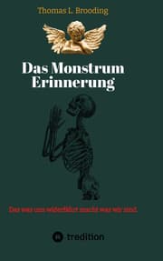 Cover von Das Monster Erinnerung. Manchen Schmerz möchte man vergessen. Aber nach über 60 Lebensjahren lässt sich auch von Engeln der Erinnerung berichten.