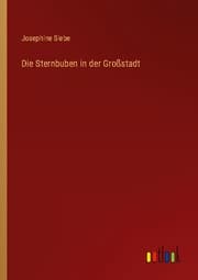 Cover von Die Sternbuben in der Großstadt
