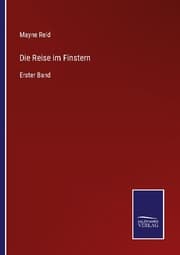 Cover von Die Reise im Finstern