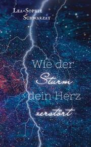 Cover von Wie der Sturm dein Herz zerstört