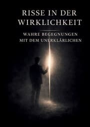 Cover von Risse in der Wirklichkeit