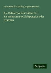 Cover von Die Kalkschwamme: Atlas der Kalkschwamme Calcispongien oder Grantien