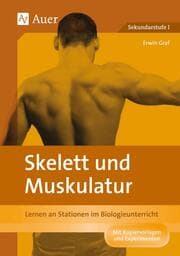 Cover von Skelett und Muskulatur