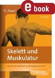 Cover von Skelett und Muskulatur
