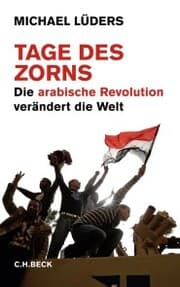 Cover von Tage des Zorns