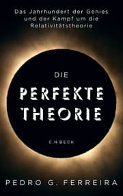 Cover von Die perfekte Theorie