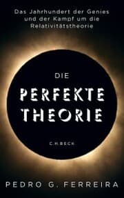 Cover von Die perfekte Theorie