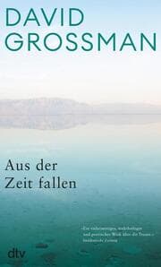 Cover von Aus der Zeit fallen
