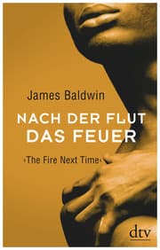 Cover von Nach der Flut das Feuer