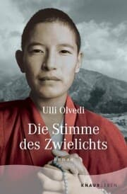 Cover von Die Stimme des Zwielichts