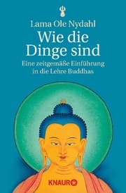 Cover von Wie die Dinge sind