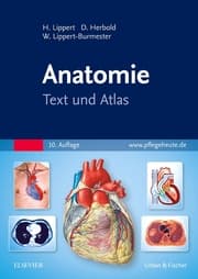 Cover von Anatomie