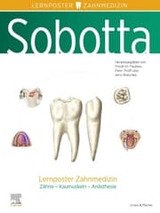 Cover von Sobotta Lernposter Zahnmedizin