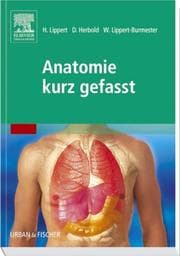 Cover von Anatomie kurz gefasst