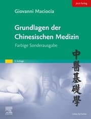 Cover von Grundlagen der chinesischen Medizin