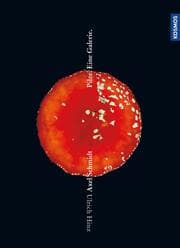 Cover von Pilze. Eine Galerie