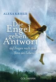 Cover von Die Engel geben Antwort