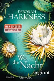 Cover von Wo die Nacht beginnt