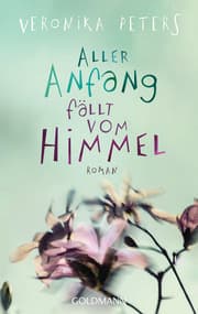Cover von Aller Anfang fällt vom Himmel