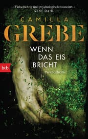 Cover von Wenn das Eis bricht