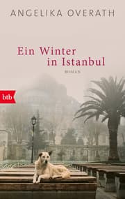 Cover von Ein Winter in Istanbul