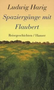 Cover von Spaziergänge mit Flaubert