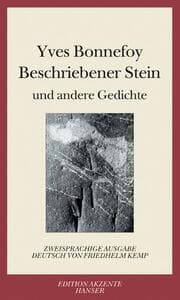 Cover von Beschriebener Stein