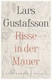 Cover von Risse in der Mauer