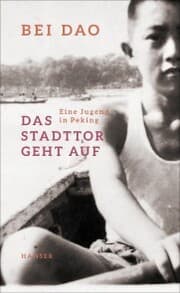 Cover von Das Stadttor geht auf