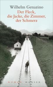 Cover von Der Fleck, die Jacke, die Zimmer, der Schmerz