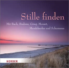 Cover von Stille finden