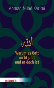 Cover von Warum es Gott nicht gibt und er doch ist