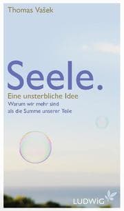 Cover von Seele - Eine unsterbliche Idee