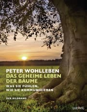 Cover von Das geheime Leben der Bäume