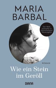 Cover von Wie ein Stein im Geröll