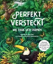 Cover von Perfekt versteckt