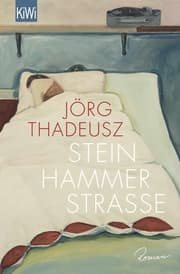 Cover von Steinhammerstraße