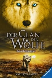 Cover von Knochenmagier