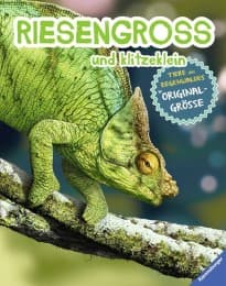 Cover von RIESENGROSS und klitzeklein: Tiere des Regenwaldes in Originalgröße
