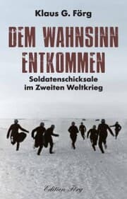 Cover von Dem Wahnsinn entkommen