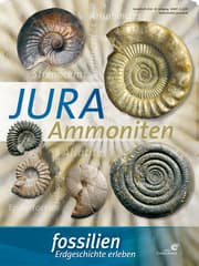 Cover von Fossilien Sonderheft 'Jura-Ammoniten'
