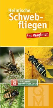 Cover von Heimische Schwebfliegen
