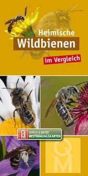 Cover von Heimische Wildbienen im Vergleich