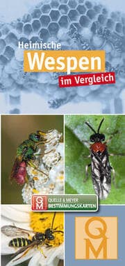 Cover von Heimische Wespen im Vergleich